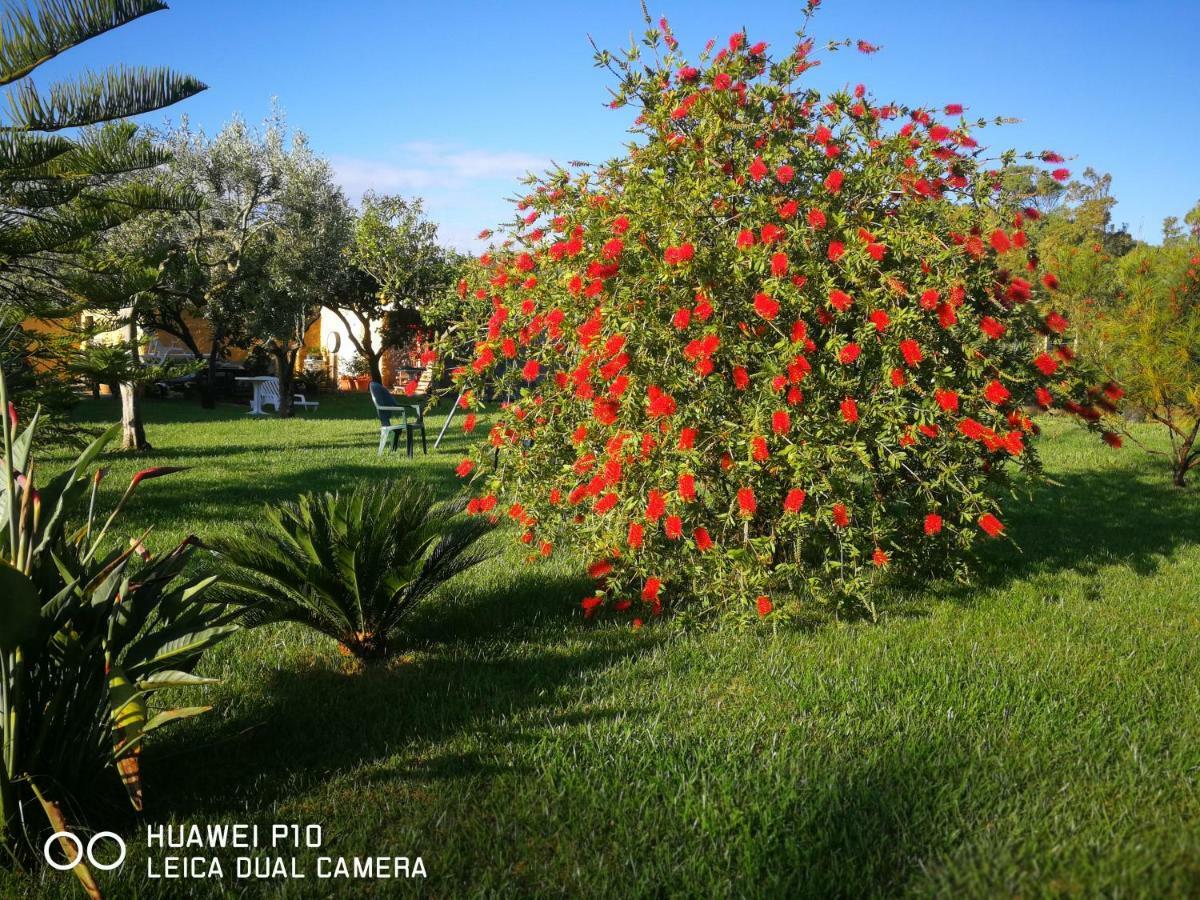B&B Fiori Di Pesco Fertilia Exteriör bild